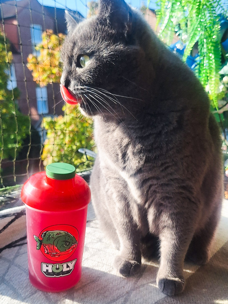<p>Die Katze von Squad Member Daniela würde auch gern mal probieren ✅</p>