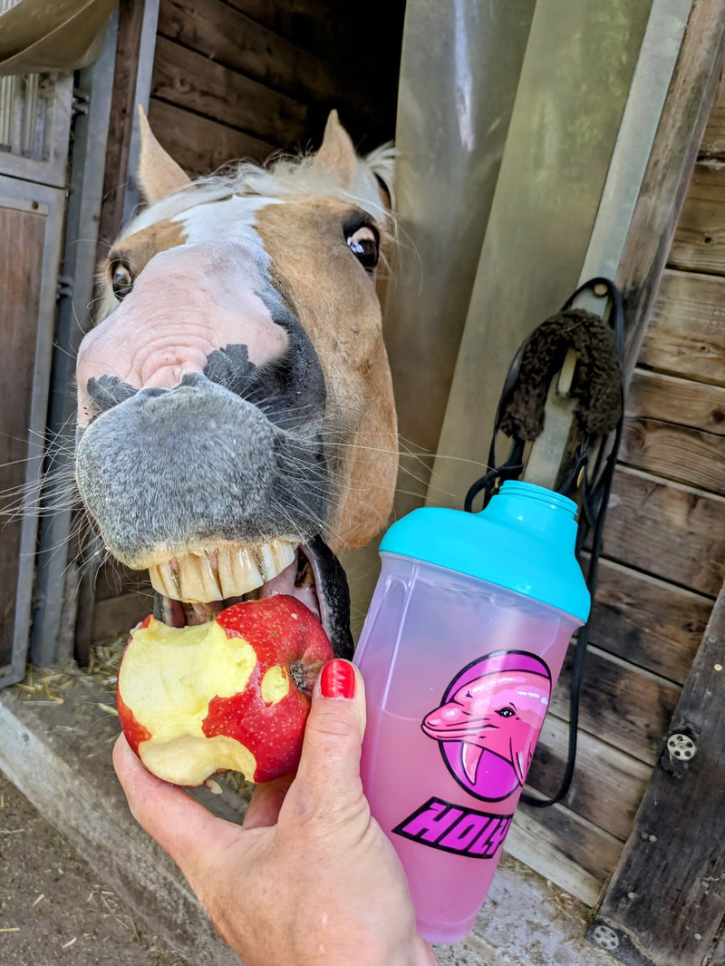 <p>Squad Member Hilde Hottehü will eine crazy Horse Edition</p>