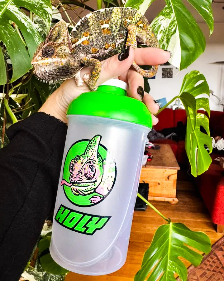 <p>Saaba, das Chamäleon von Squad Member Silke, liebt unseren Shaker!</p>