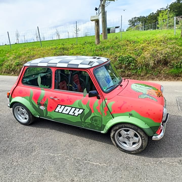 <p>Pomegranate Piranha Mini Cooper von Squad Member Yvonne</p>