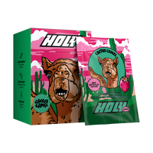 Cactus Camel