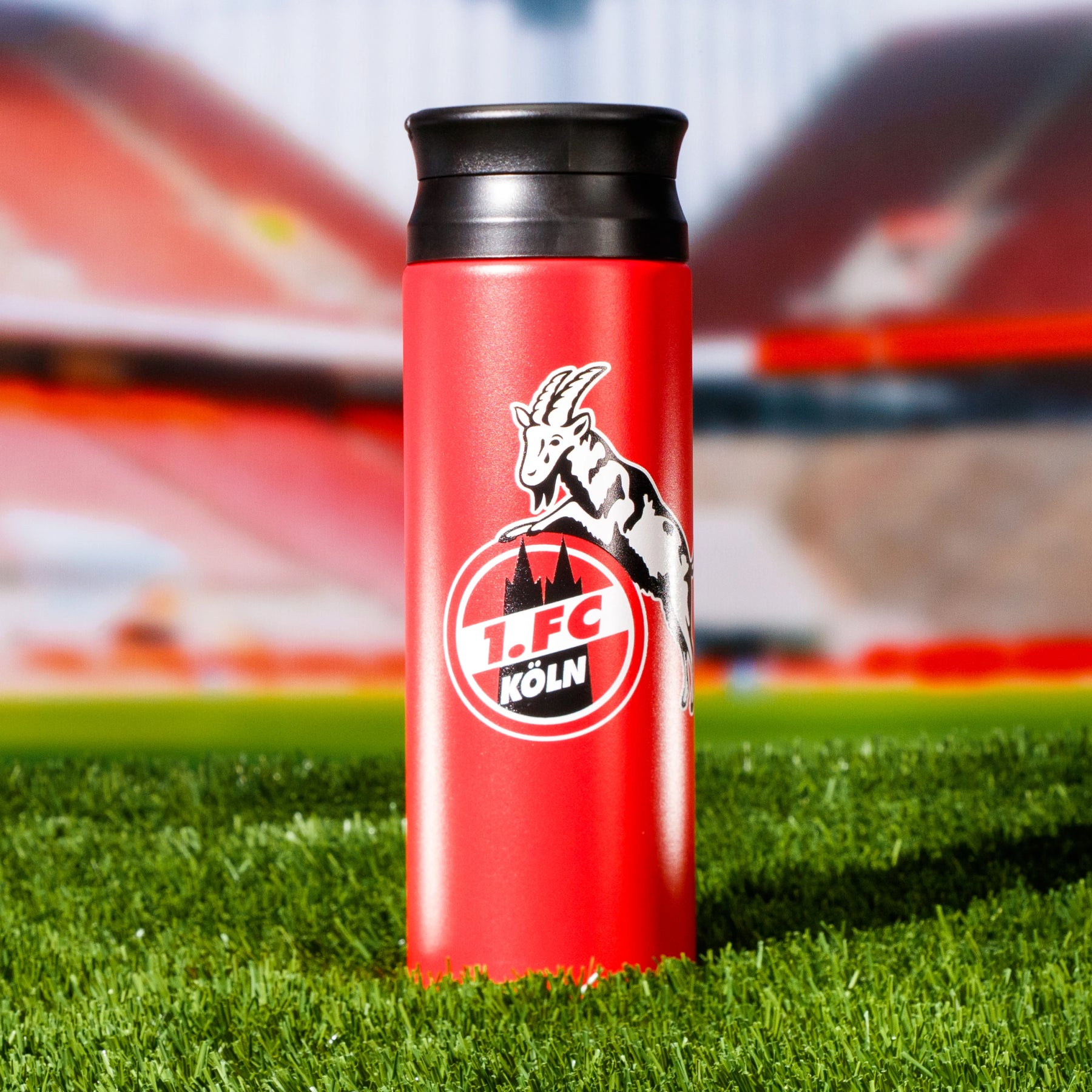 Thermo Shaker – 1. FC Köln